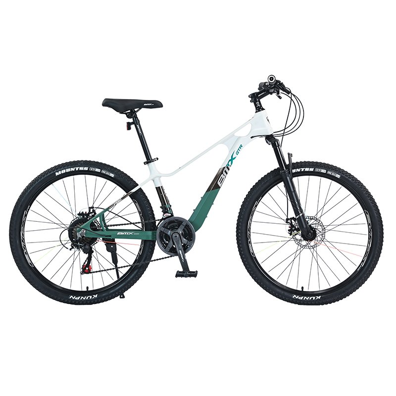 Wholesale 24 Speed Magnesium Alloy Frame Bicicleta 2.5 Tires Bicycle 24 26 inch Adult Cycle Mountain Bike for Men