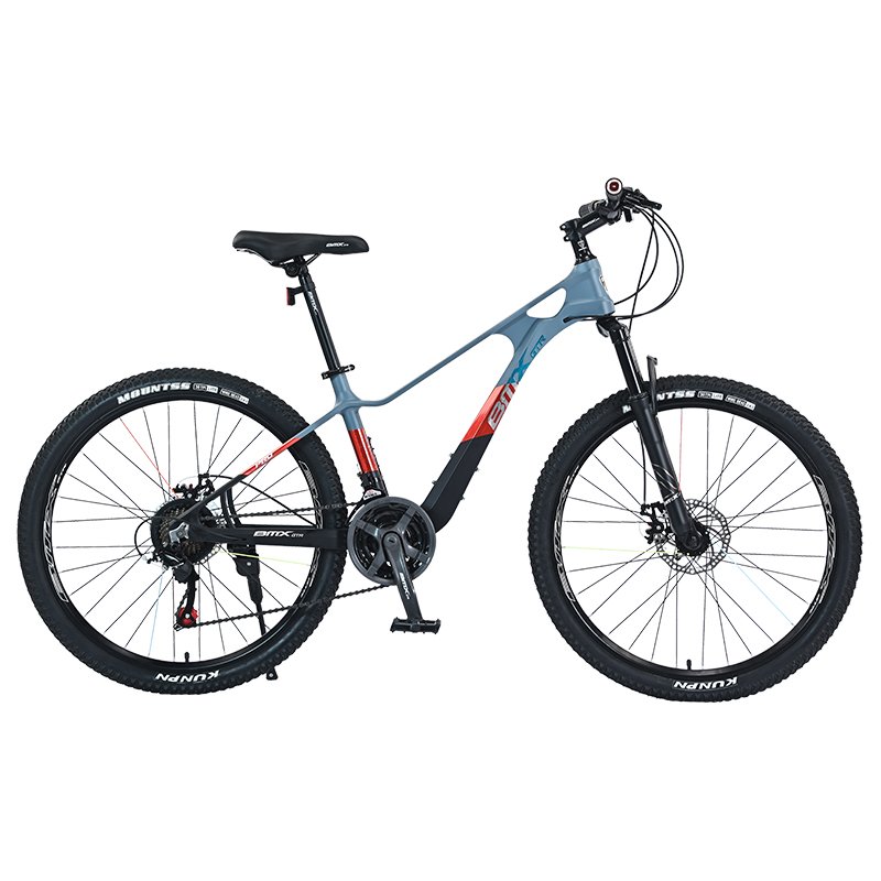 Wholesale 24 Speed Magnesium Alloy Frame Bicicleta 2.5 Tires Bicycle 24 26 inch Adult Cycle Mountain Bike for Men