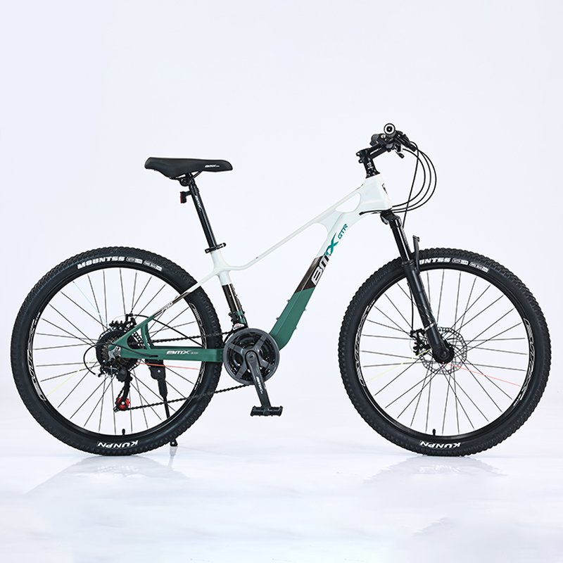 Wholesale 24 Speed Magnesium Alloy Frame Bicicleta 2.5 Tires Bicycle 24 26 inch Adult Cycle Mountain Bike for Men