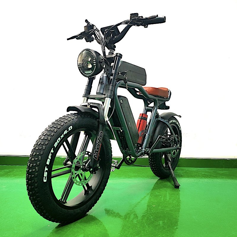 16Ah*2 Dual Batteries Long Range Ebike 48V 750W Electric Fat Tire Bicycle City Bike