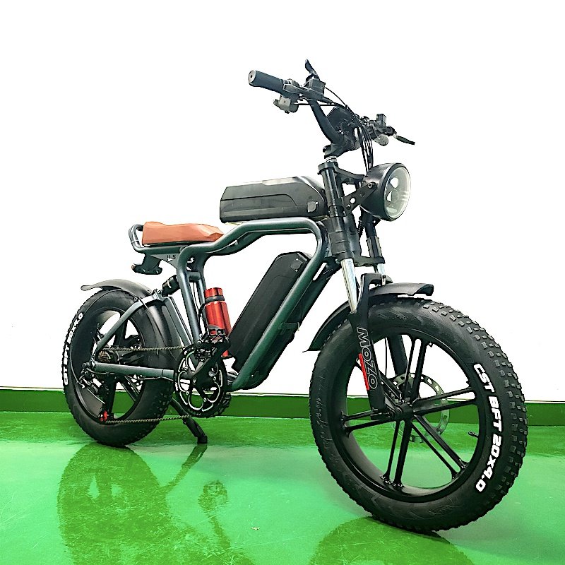 16Ah*2 Dual Batteries Long Range Ebike 48V 750W Electric Fat Tire Bicycle City Bike
