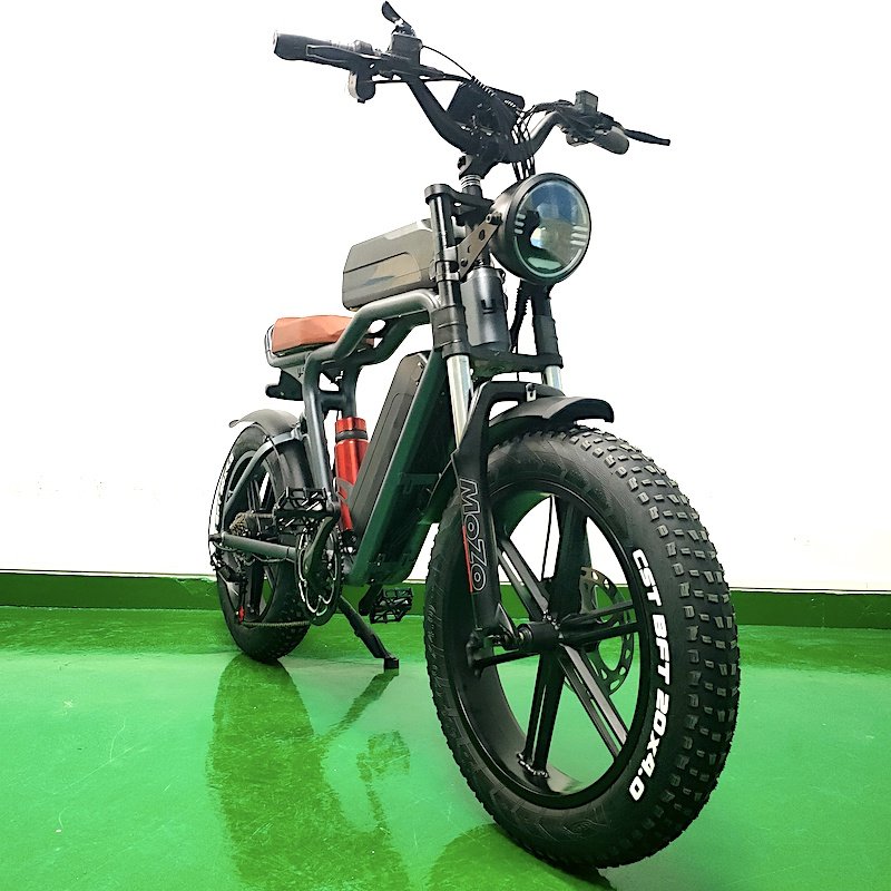 16Ah*2 Dual Batteries Long Range Ebike 48V 750W Electric Fat Tire Bicycle City Bike