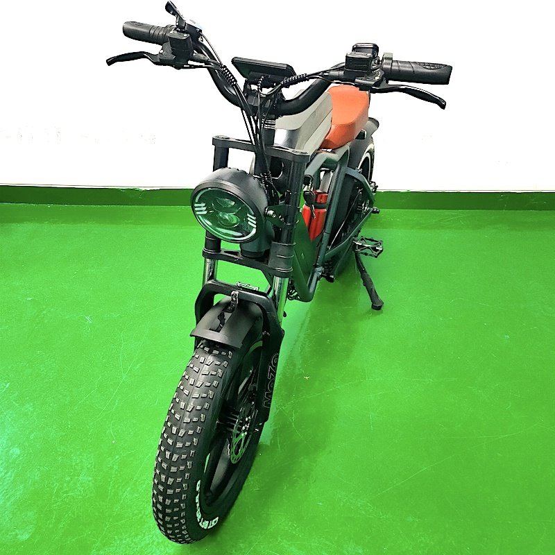 16Ah*2 Dual Batteries Long Range Ebike 48V 750W Electric Fat Tire Bicycle City Bike