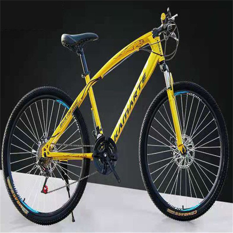 China Supplier On Sale Adult High Grade Bicycle Mountain Bike