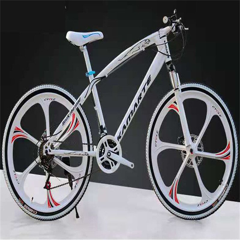 China Supplier On Sale Adult High Grade Bicycle Mountain Bike