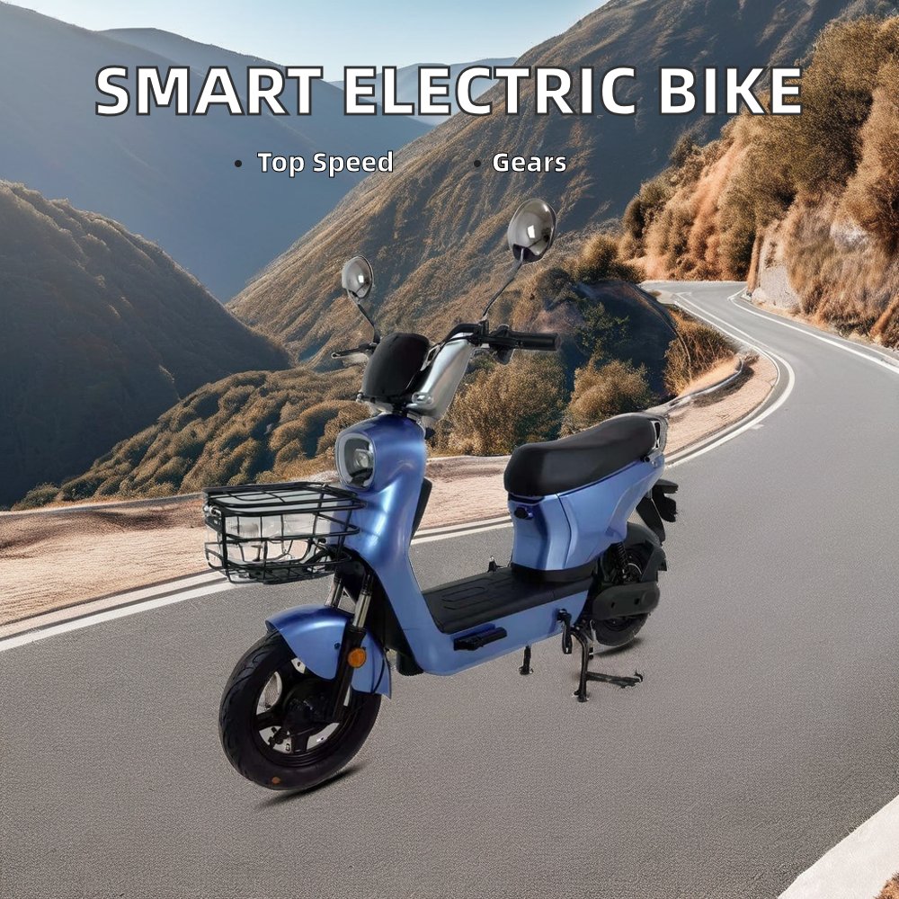 14-Inch 500W 20Ah 48V Electric Smart City Bike Integrated 400W Motor Steel Frame LCD Display Lead Acid Battery Sensor Controller