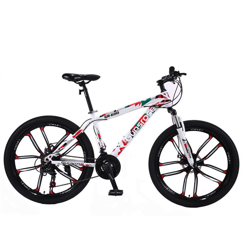 NEWSPEED cheap price aluminum folding bike 26 inch 350w motor second hand used adults bikes 21 speed cycle with good quality
