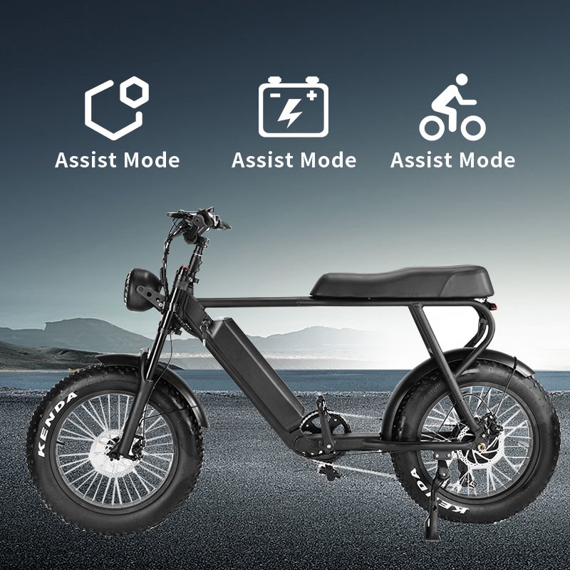 1000w Electric Bicycle Eu Warehouse Mountain Bike