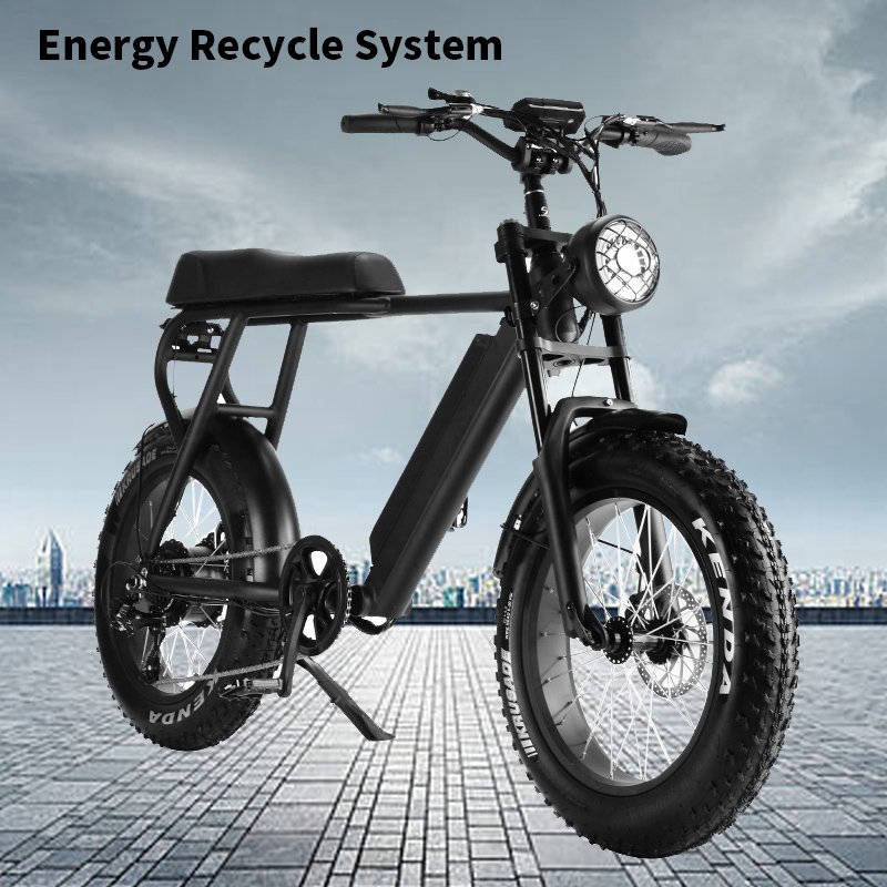1000w Electric Bicycle Eu Warehouse Mountain Bike