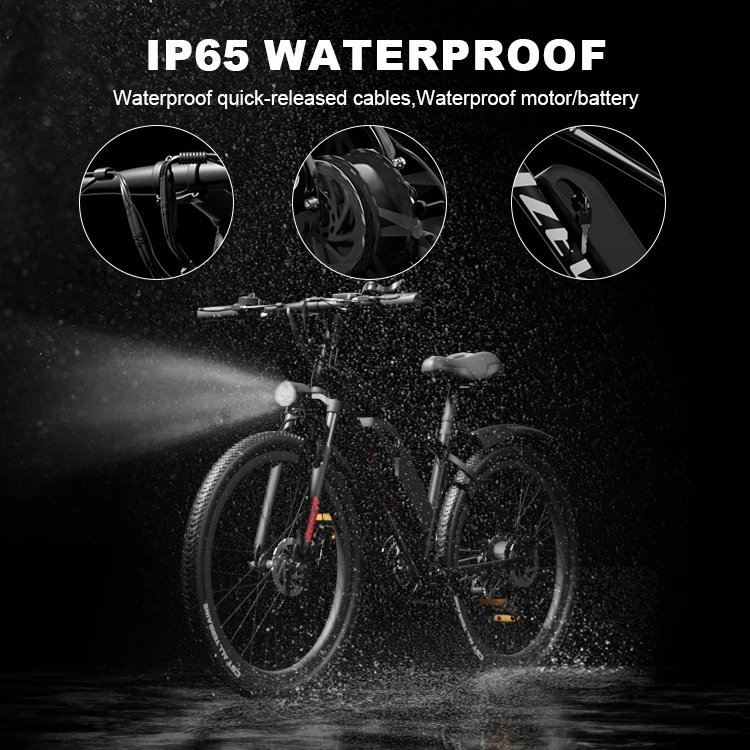 Factory Direct 26 Inch 21Speed Aluminum Double Disk Brake Mountain Ebike Electric Bicycle For Adults