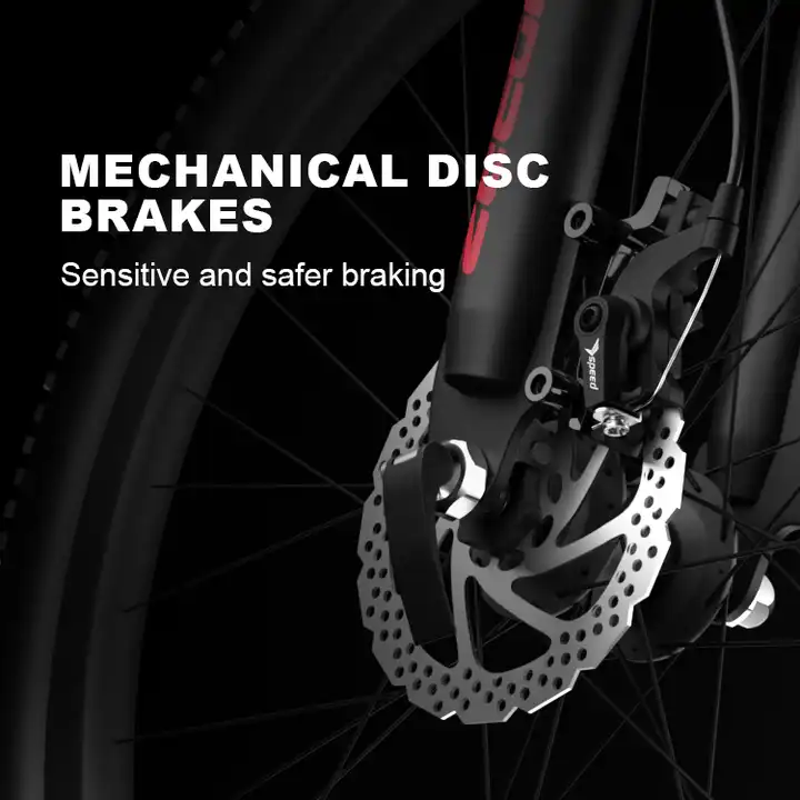 Factory Direct 26 Inch 21Speed Aluminum Double Disk Brake Mountain Ebike Electric Bicycle For Adults
