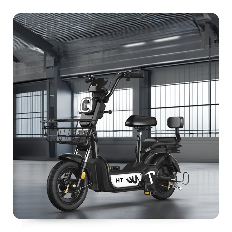 Paige Factory Wholesale 350W 48V Adult Electric City Bike Steel Frame Two-Wheeled Electric Scooter with Lead-Acid Battery