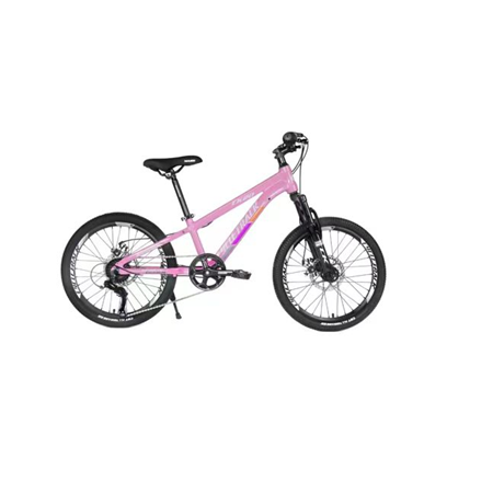 Cycletrack 20 Inch Kids Children Boys Girls Alloy Bike MTB Aluminium Alloy Mountain Bike Alloy Bicycle