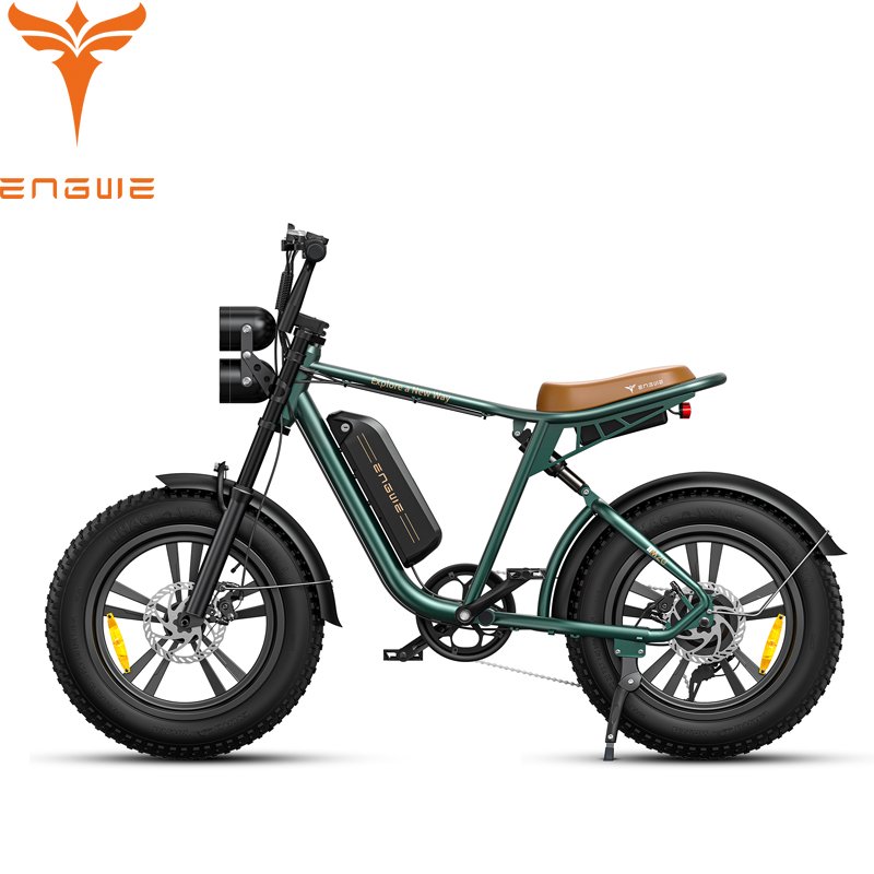 ENGWE M20 EU/US Warehouse 48V 750W 20*4.0 inch fat tires 25KM/H single double batteries electric mountain bike