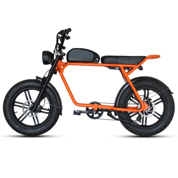 Hot sell fat tyre e-bike electric mountain bike with 48V 1000W motor 48V 16Ah Li battery disc brake and LCD display 20in tire