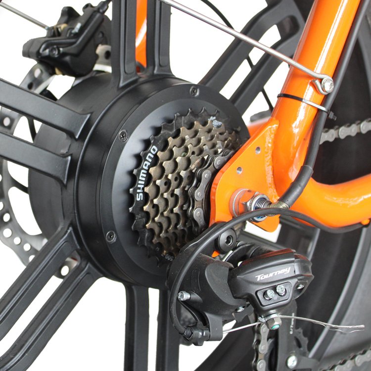 Hot sell fat tyre e-bike electric mountain bike with 48V 1000W motor 48V 16Ah Li battery disc brake and LCD display 20in tire