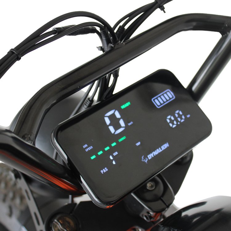 Hot sell fat tyre e-bike electric mountain bike with 48V 1000W motor 48V 16Ah Li battery disc brake and LCD display 20in tire
