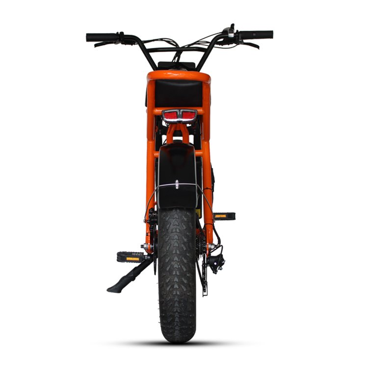 Hot sell fat tyre e-bike electric mountain bike with 48V 1000W motor 48V 16Ah Li battery disc brake and LCD display 20in tire