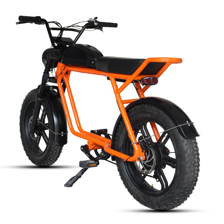 Hot sell fat tyre e-bike electric mountain bike with 48V 1000W motor 48V 16Ah Li battery disc brake and LCD display 20in tire
