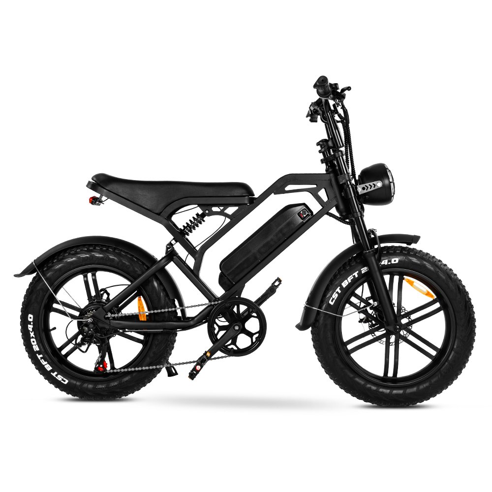Eu Warehouse Electric Hybrid Bike Cheapest Electric Fat Tire Mountain Bicycle Motor Steel Customized Logo 48V 7 Speed