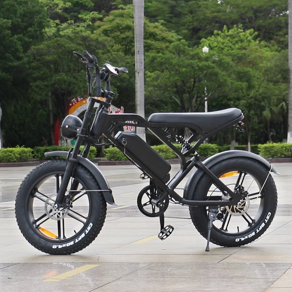 Eu Warehouse Electric Hybrid Bike Cheapest Electric Fat Tire Mountain Bicycle Motor Steel Customized Logo 48V 7 Speed
