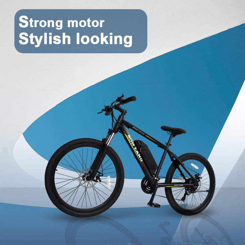 SONGLANG Electric Mountain Bike for Adult Hot Sale Powerful 1000W 2000W 3000W Electric Bicycle Aluminum Alloy Frame OEM ODM