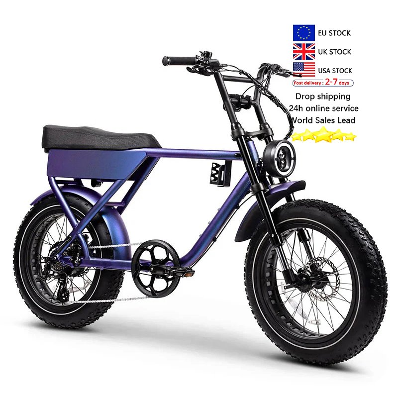 US EU UK Warehouse Electric Bicycle 20inch Fat Tire Fatbike 48V 1000W Mountain Adults Ebike Off Road E-bike Hybrid E Bikes