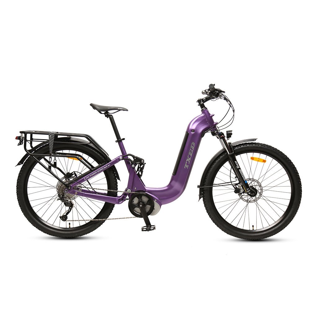 TXED 250W middle motor Electric food delivery bicycle Hydraulic Disc Brake 7 Speed Electric city bike