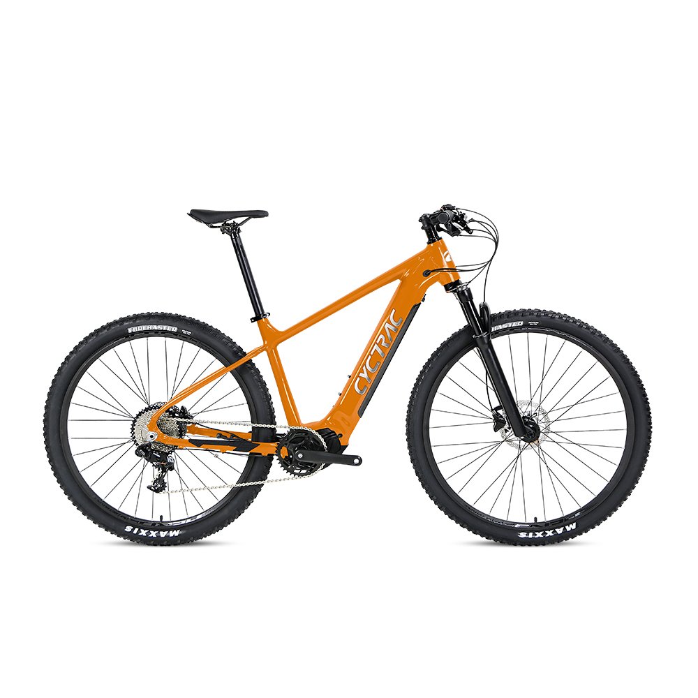 elektrisches fahrrad electric e bike Electric Bicycle ebike cycle Electric Bike Bafang Mid fat tire dirt mountain bike
