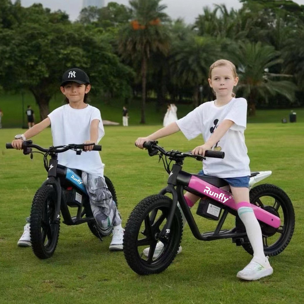 Long Range 300W Lithium Battery 24V 6Ah Ip54 Baby Small Electric Bicycle Electric Balance Bike