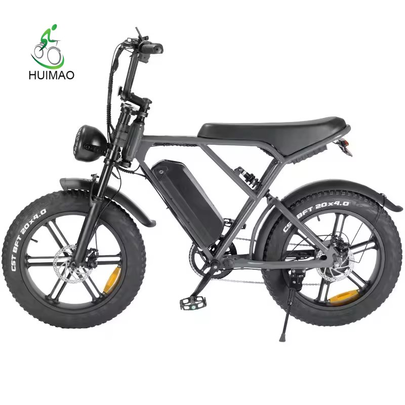 Mountain Fatbike Cheap 20inch Fat Tire Ebike Motorcycles Electric Bike mountain bicycle electric bicycle off road e bike