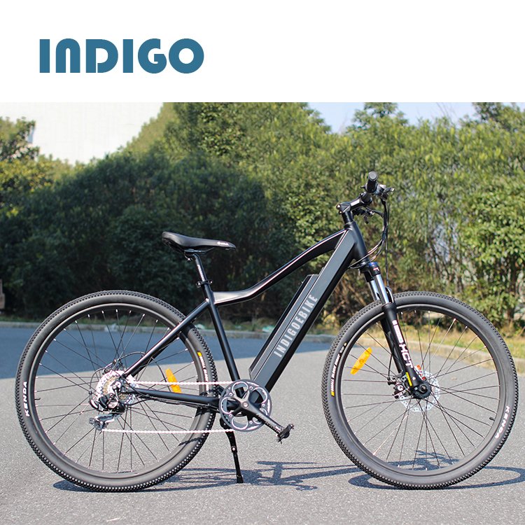 Good Buy Mountain Ebike Electric Bike in China