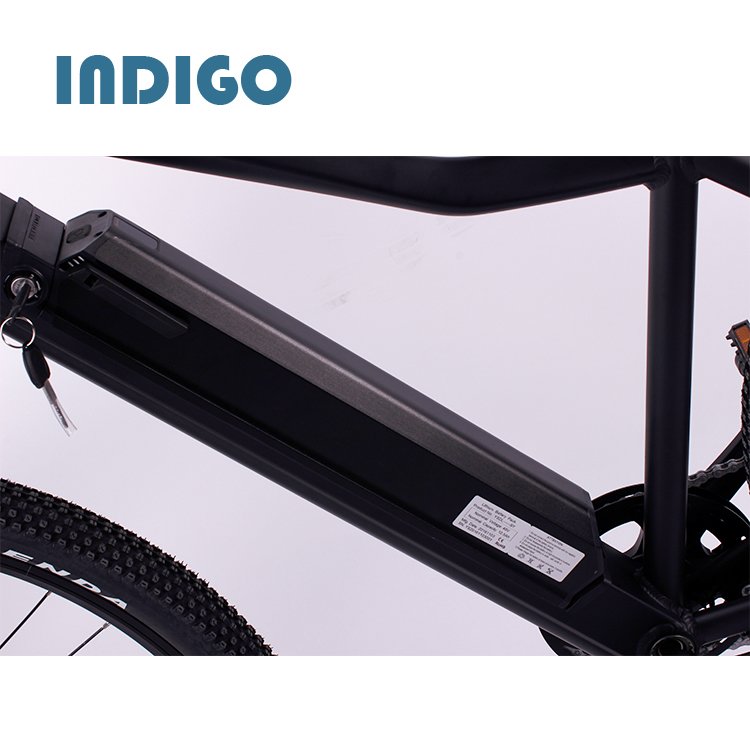 Good Buy Mountain Ebike Electric Bike in China