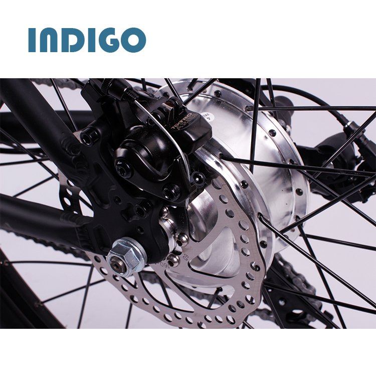 Good Buy Mountain Ebike Electric Bike in China