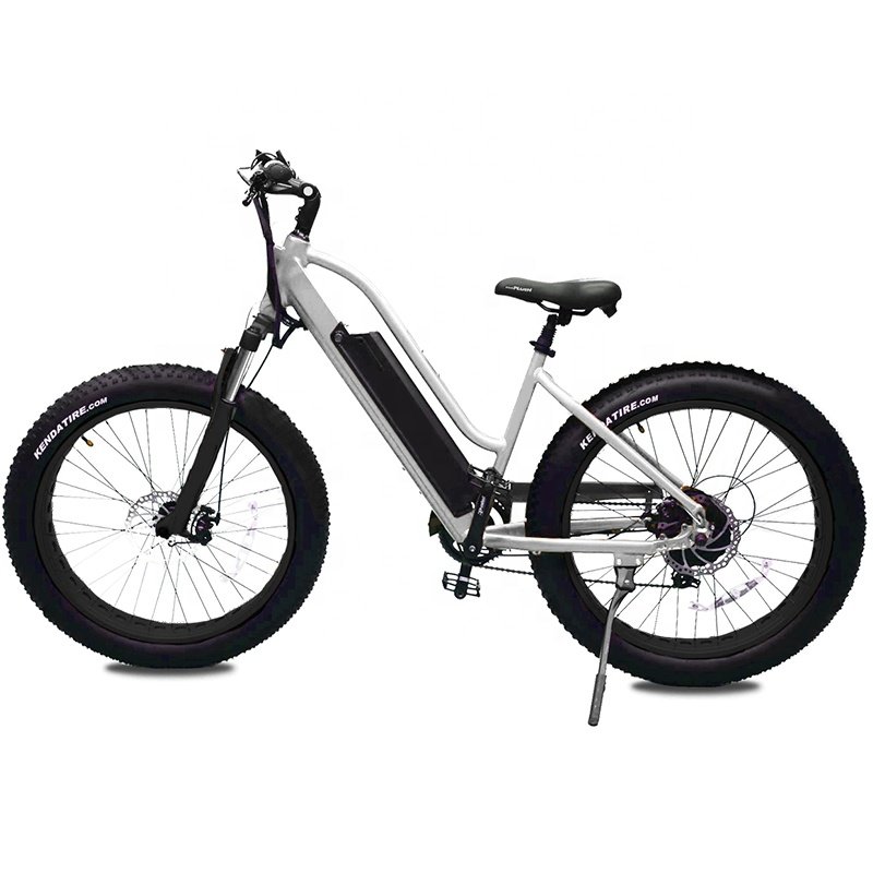 Cheap Powerful Adults Ebike 750W Electric Mountain Bike Bicycle 26 inch Fat Tire Electric Bike