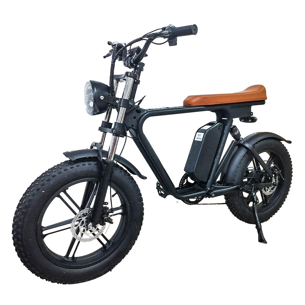 YEASION 2024 new cheap ebike adult scooter full suspension fat tire cargo bike vlo lectrique 500w