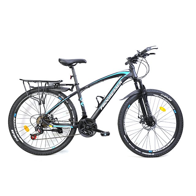 China Factory OEM Cheap Bike Good Quality MTB