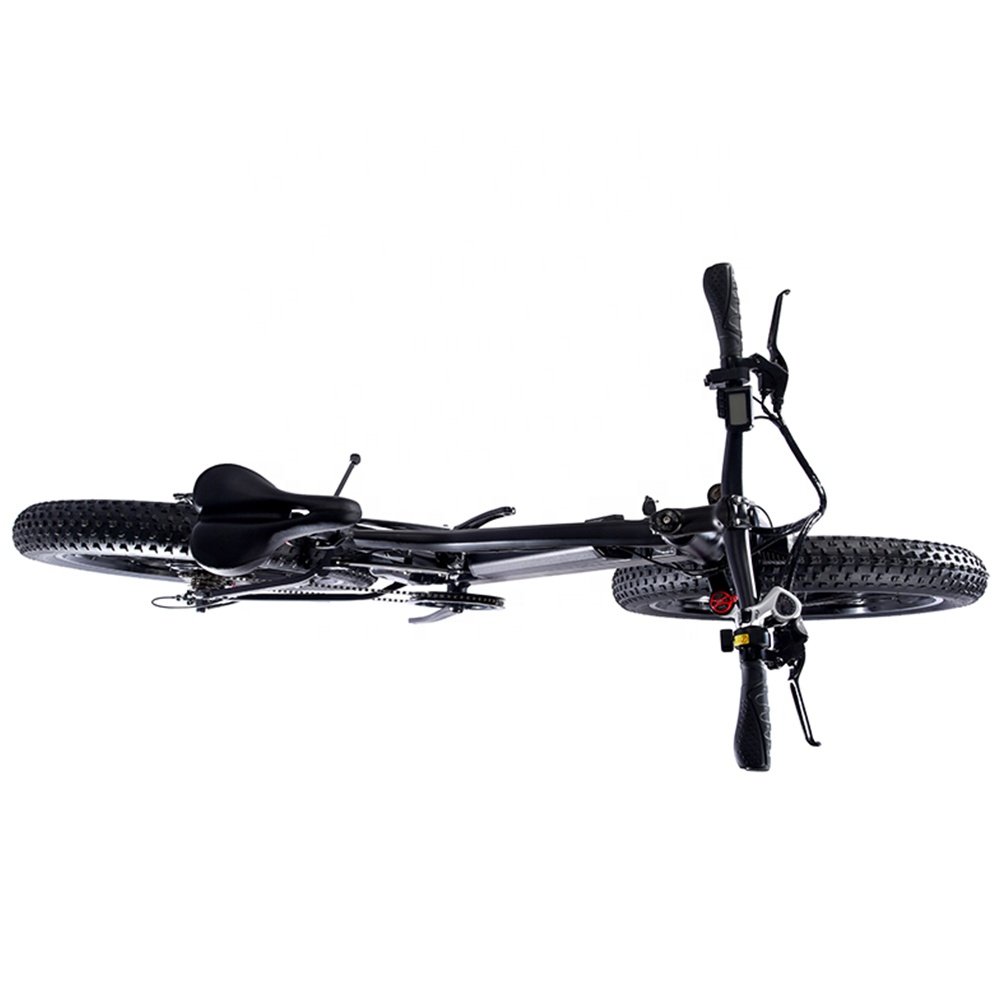 26"*4.0" Fatbike Ebike 48V 10Ah Power Assist Off-Road Electric Mountain Bike for Adult