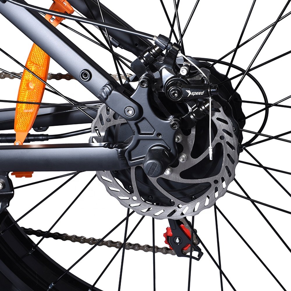 26"*4.0" Fatbike Ebike 48V 10Ah Power Assist Off-Road Electric Mountain Bike for Adult
