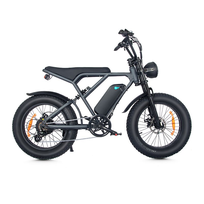 MZ-16 Stealth Bomber 500W 750W 20 Inch Fat Tire Hybrid Electric Mountain Dirt City Road Bike For Adults