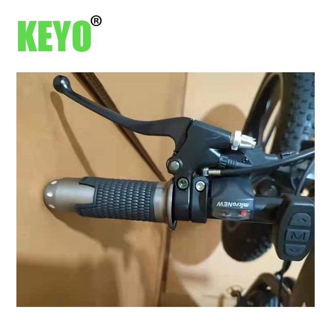China tianjin factory New arrival fat tire 26 inch electric mountain bike e bike bicycle bicicleta