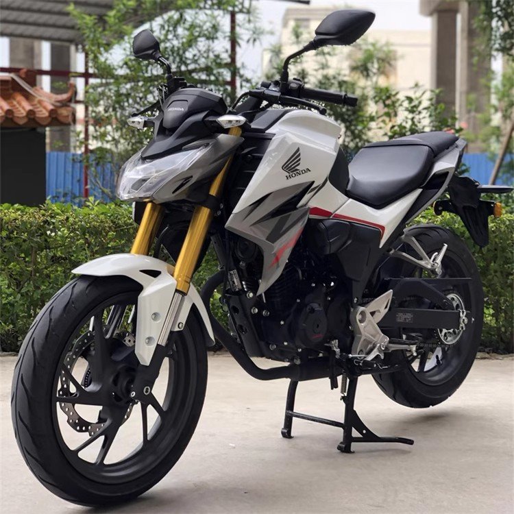 Classic factory direct sales 150cc 200cc 4 stroke gas gaslion off road motorcycle for adult