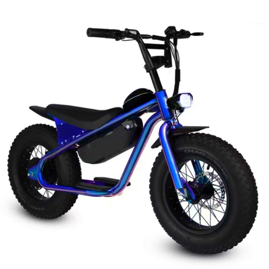 Electric City Bike 16 Inch*4.0 Fat Tire Children Electric Bicycle 7 Speed Electric Bike 750W Brushless Hub Motor City Ebike