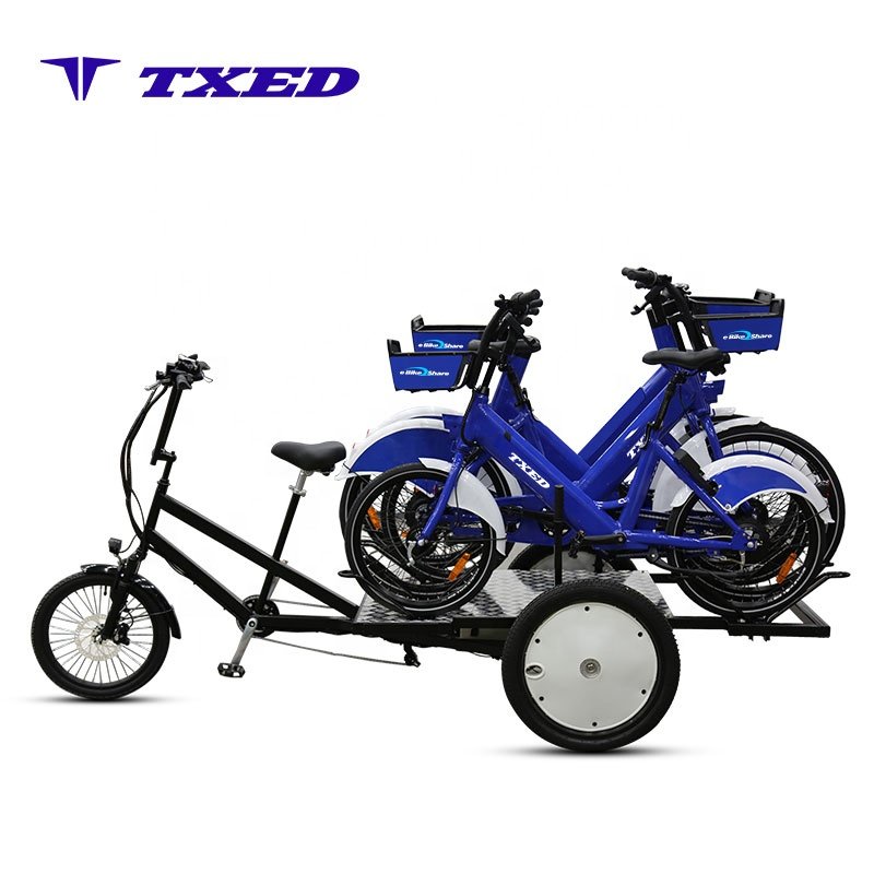 TXED China Manufacturers City Street Touring Three Wheels Electric Cargo Trike Goods With bike Stand Flatbed Cargo Tricycle