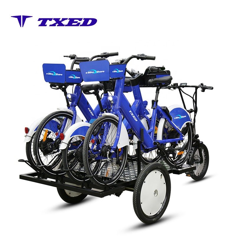 TXED China Manufacturers City Street Touring Three Wheels Electric Cargo Trike Goods With bike Stand Flatbed Cargo Tricycle