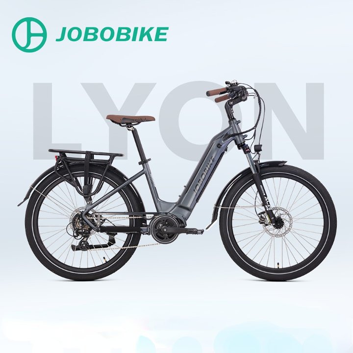 Mid Motor Step Thru City Ebike 48v 26'' CST 750w Bafang E Road Bike 14ah Step Through Electric City Bike men