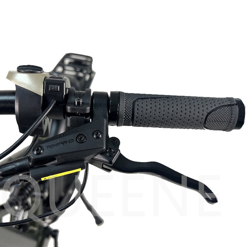 China Manufacturer High Speed 48V 1000W Bafang Dual Motor Ebike Electric Mountain Bike With Pedals Disc Brake
