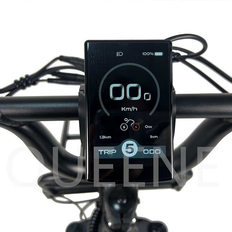 China Manufacturer High Speed 48V 1000W Bafang Dual Motor Ebike Electric Mountain Bike With Pedals Disc Brake