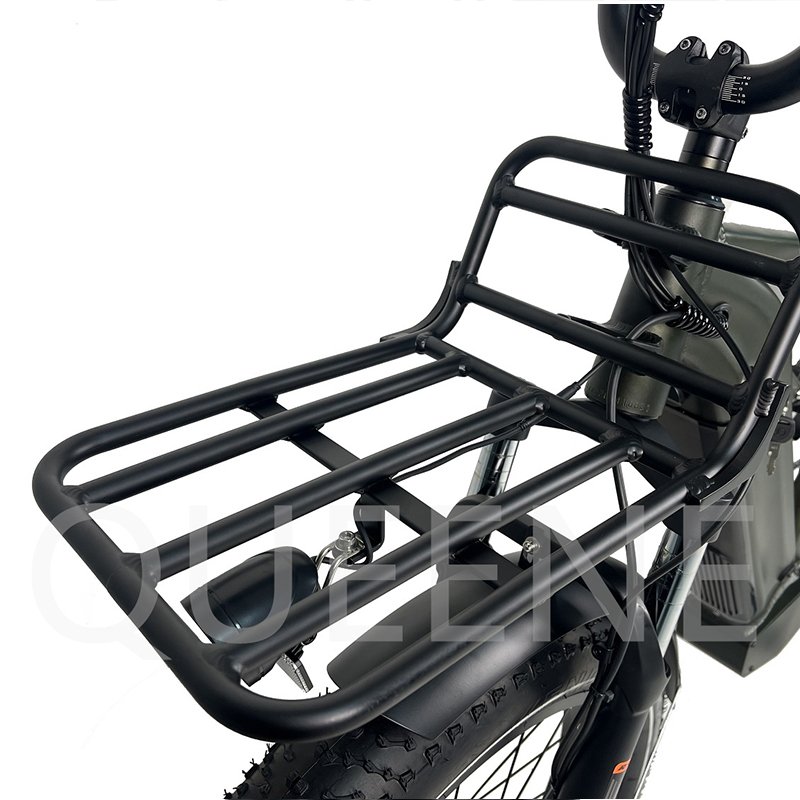 China Manufacturer High Speed 48V 1000W Bafang Dual Motor Ebike Electric Mountain Bike With Pedals Disc Brake