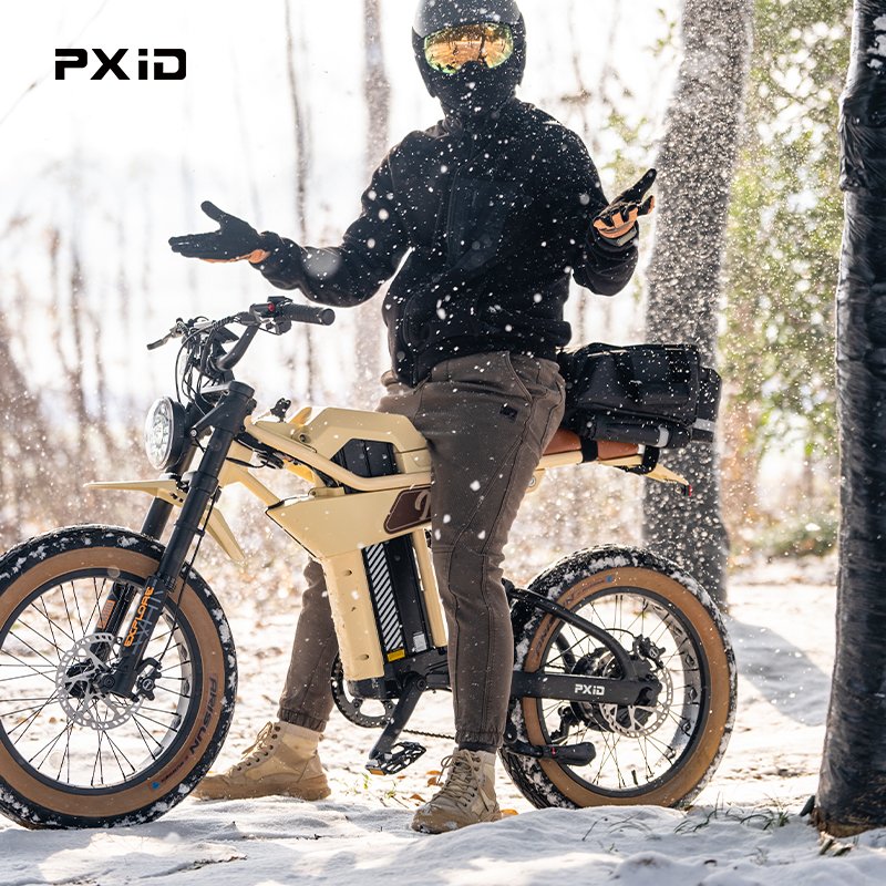 Wholesale PXID MANTIS P6 ev bike ODM OEM 1000w 48v 20ah 35ah long range electric city bike
